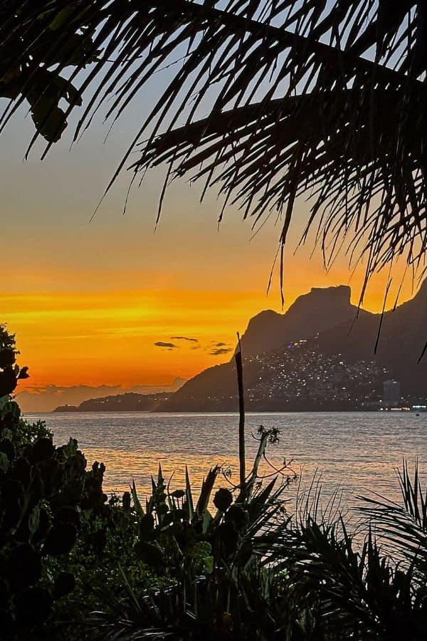 Sunset at Ipanema looking through the palm trees
